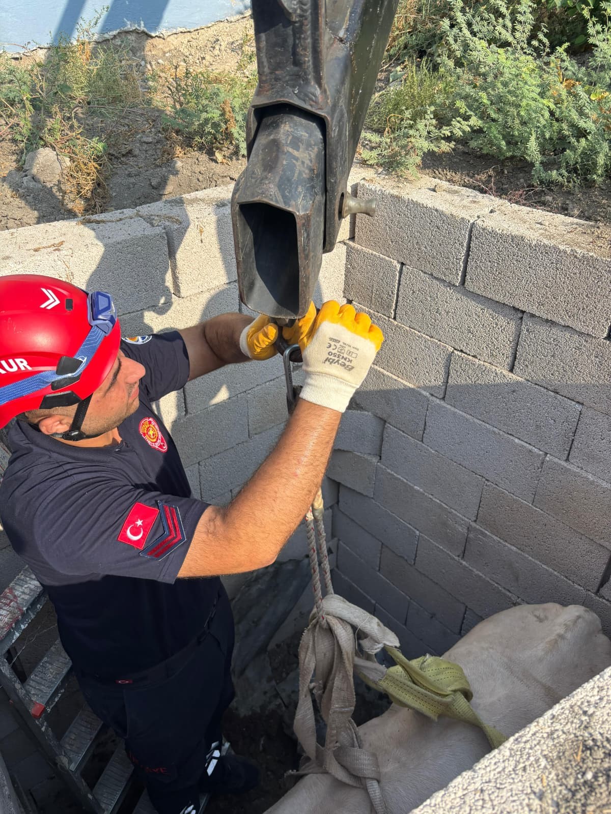 Tuvalet kuyusuna düşen boğa itfaiye ekipleri tarafından kurtarıldı