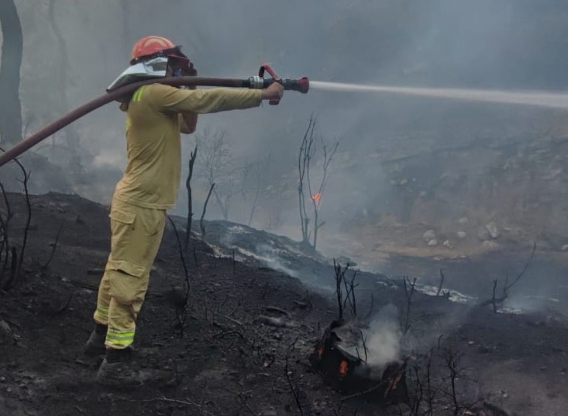 Adana'daki orman yangını kontrol altına alındı   
