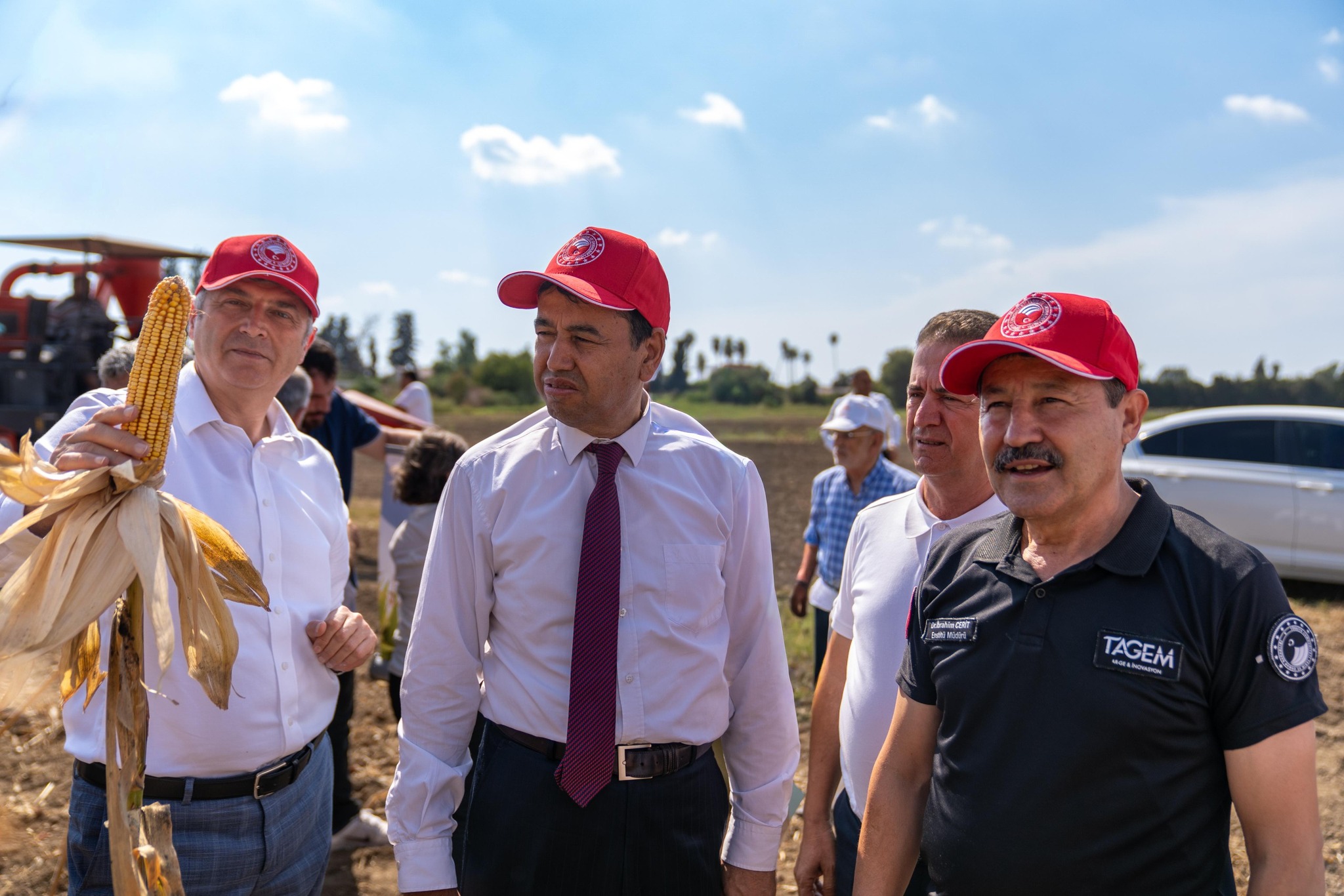 Kale mısır çeşidi, üreticilere tanıtıldı