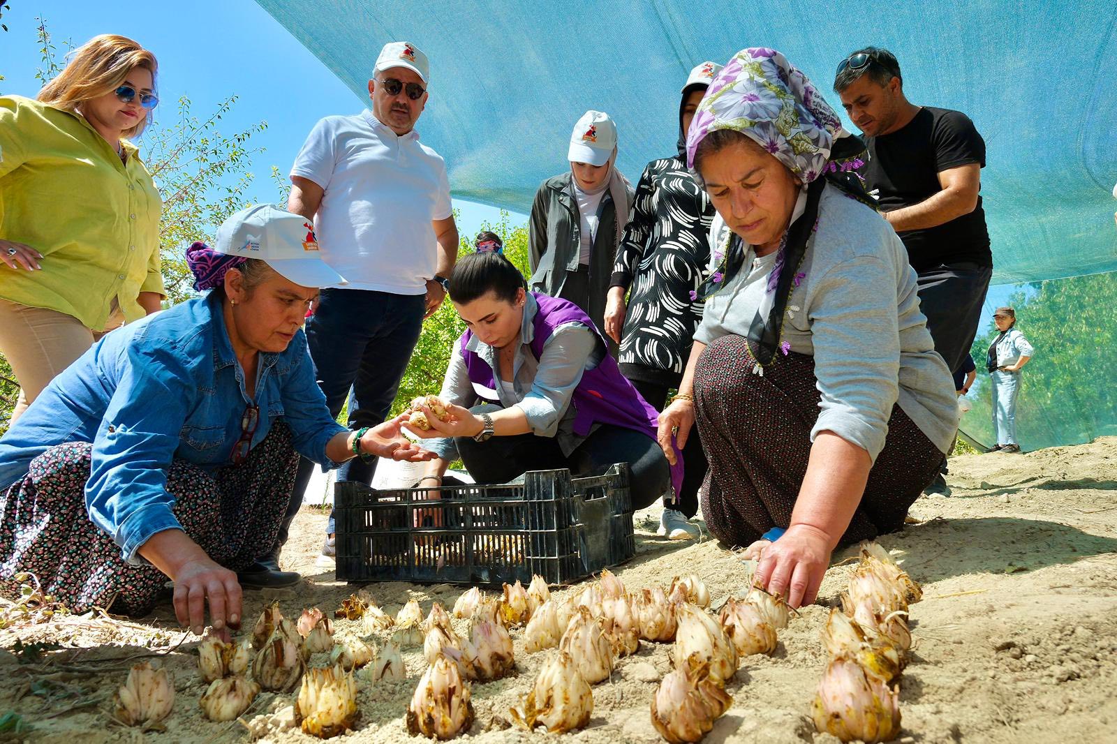 Kadınlar, 'Akzambak Projesiyle' güçleniyor