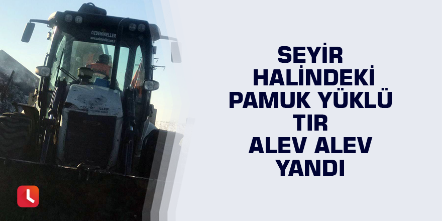 Seyir halindeki pamuk yüklü tır alev alev yandı