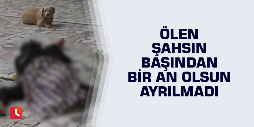 Ölen şahsın başından bir an olsun ayrılmadı