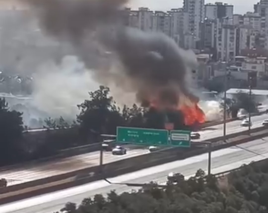 Adana'da otoyol kenarında otluk alan yangını