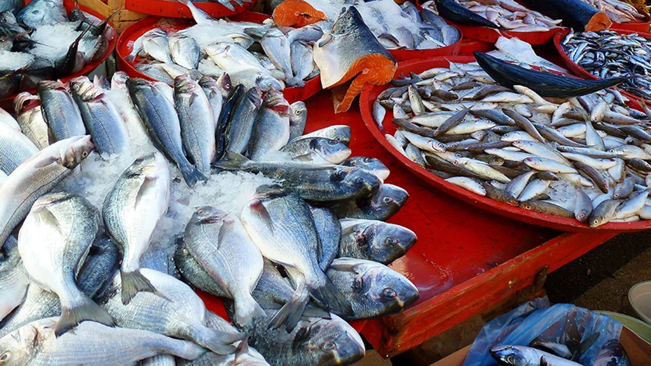 Hangi Balıklar Planlı Üretime Alındı? Adana Tarım Müdürlüğü Duyurdu!