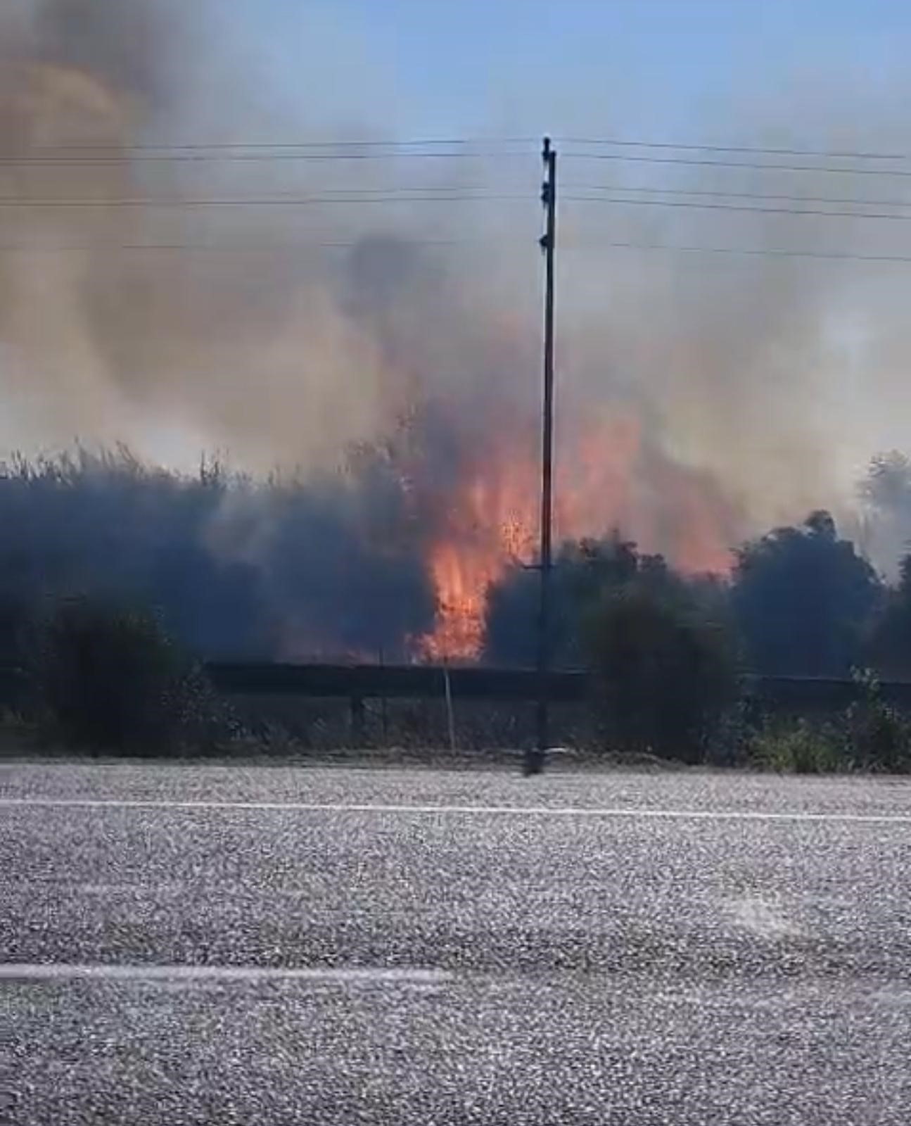 Zamanında müdahale yangının bahçelere sıçramasını önledi