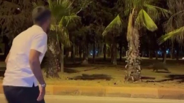 Çukurova Üniversitesi'nin yapamadığını vatandaş havlayarak yaptı domuzlar kaçtı