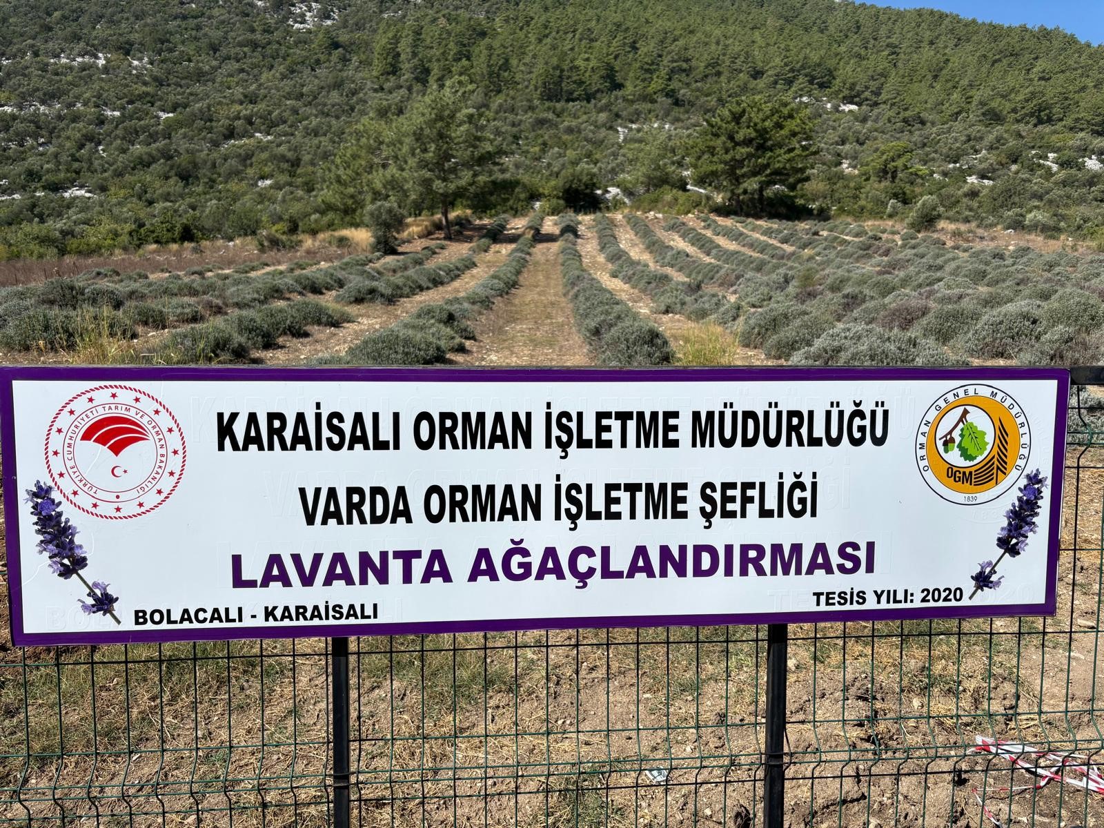 Bakımını yapan kullanım hakkını elde edecek