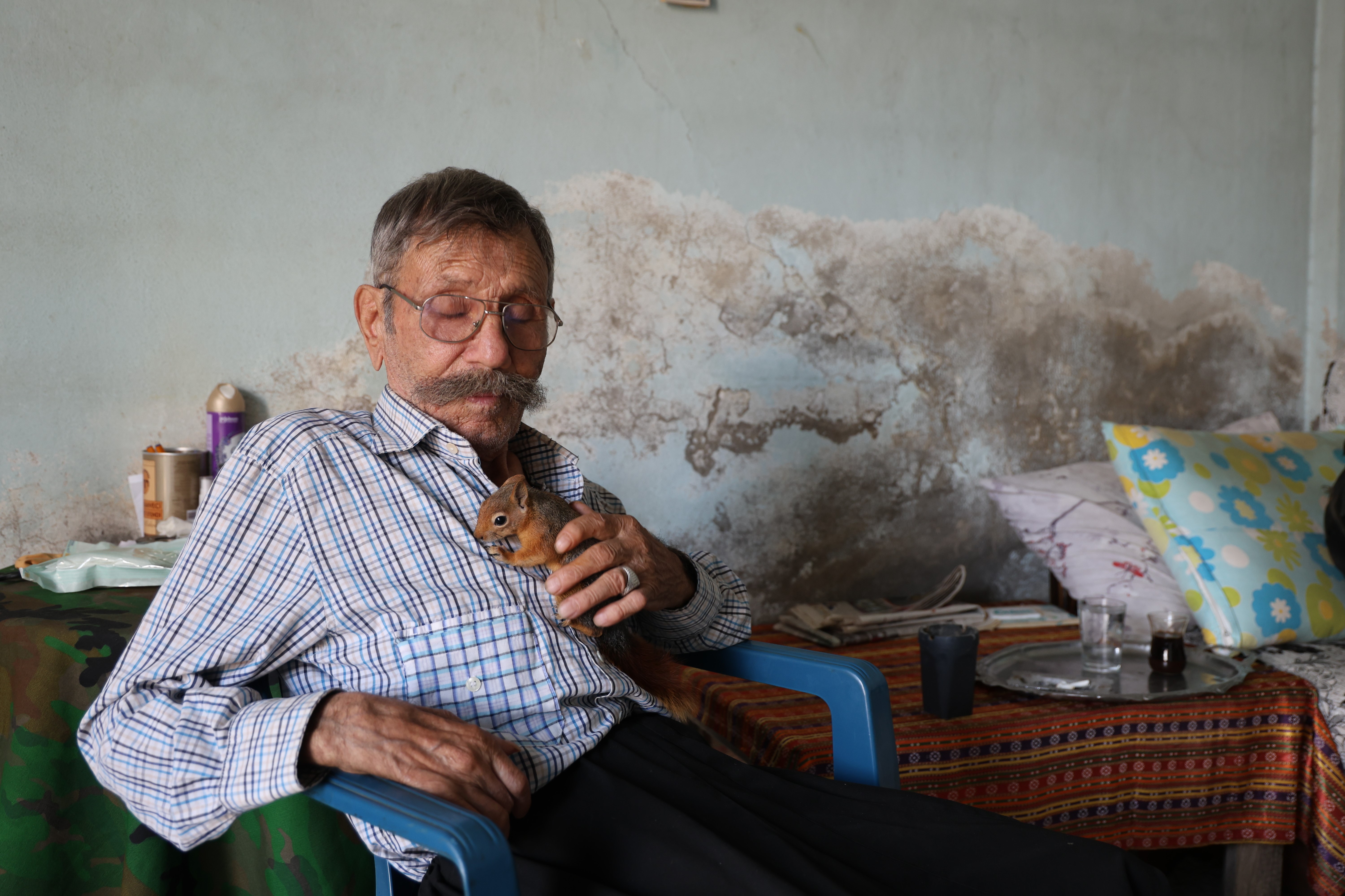 Yalnız kalmıştı, yavruyken kurtardığı 'sincap' dostu oldu