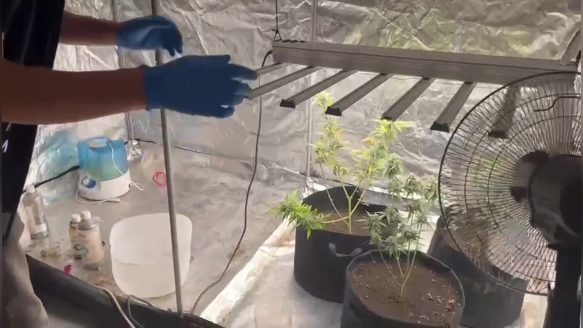 Evine kurduğu özel sistemle uyuşturucu üretirken yakalandı