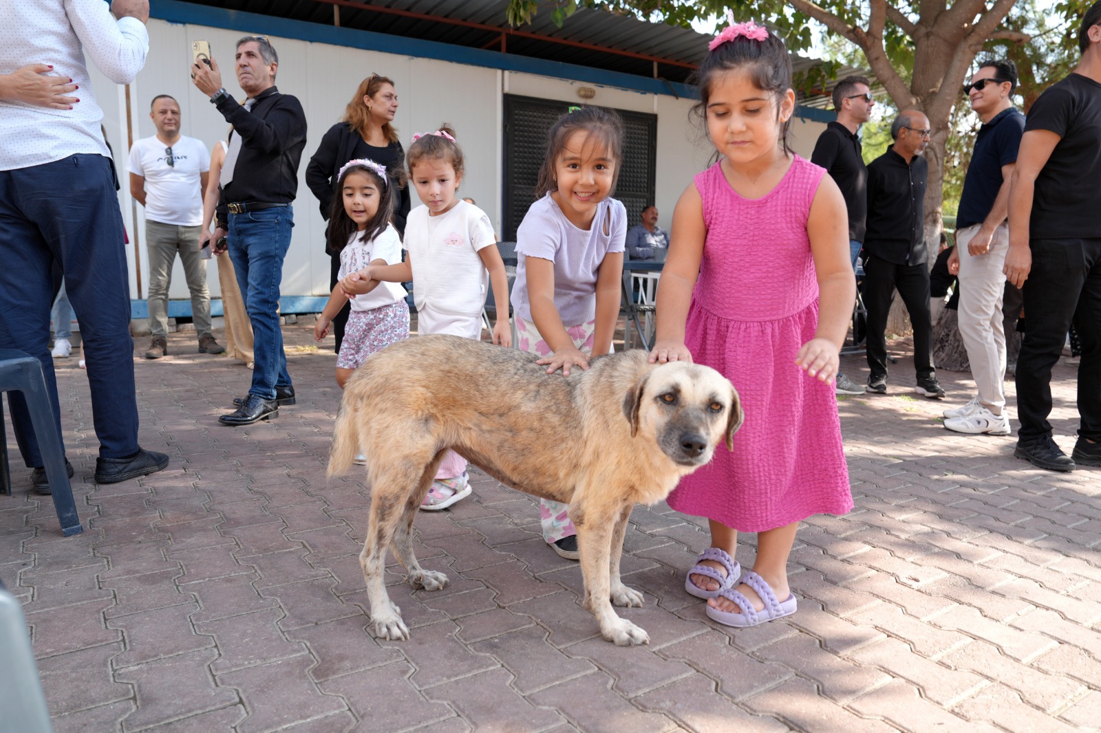 Çukurova'da, can dostlar i̇çi̇n anlamlı buluşma
