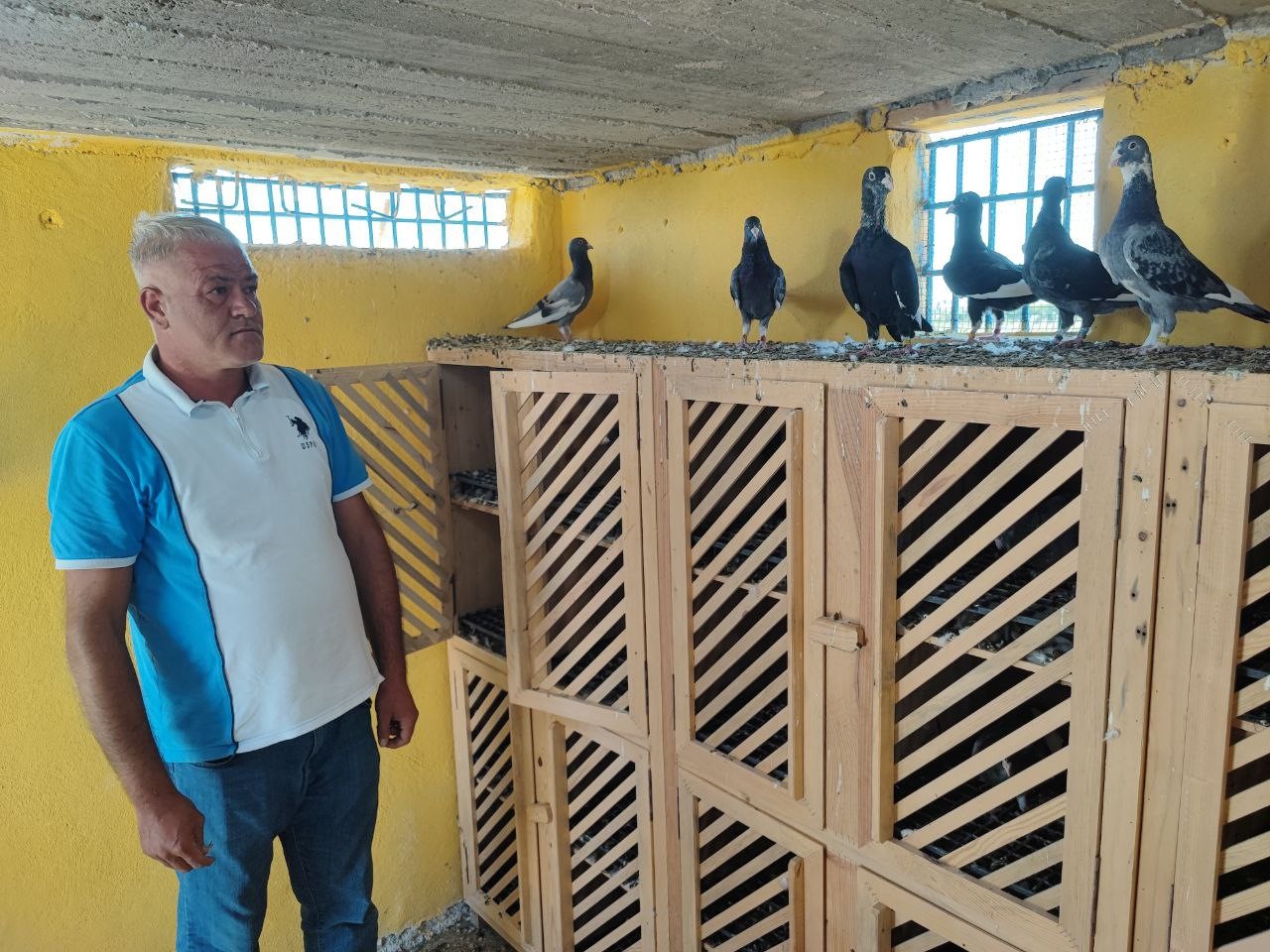 Kayıp güvercinlerini bulana ödülü 100 bin liraya çıkardı