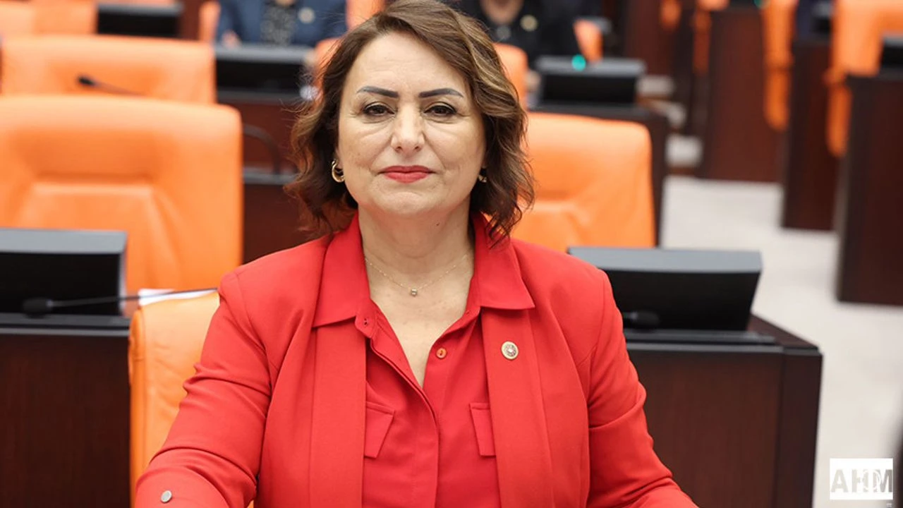 Adanalı Milletvekili Şevkin, "Kapalı Sulama Projesi'nin, yatırım programına alınması gerek"