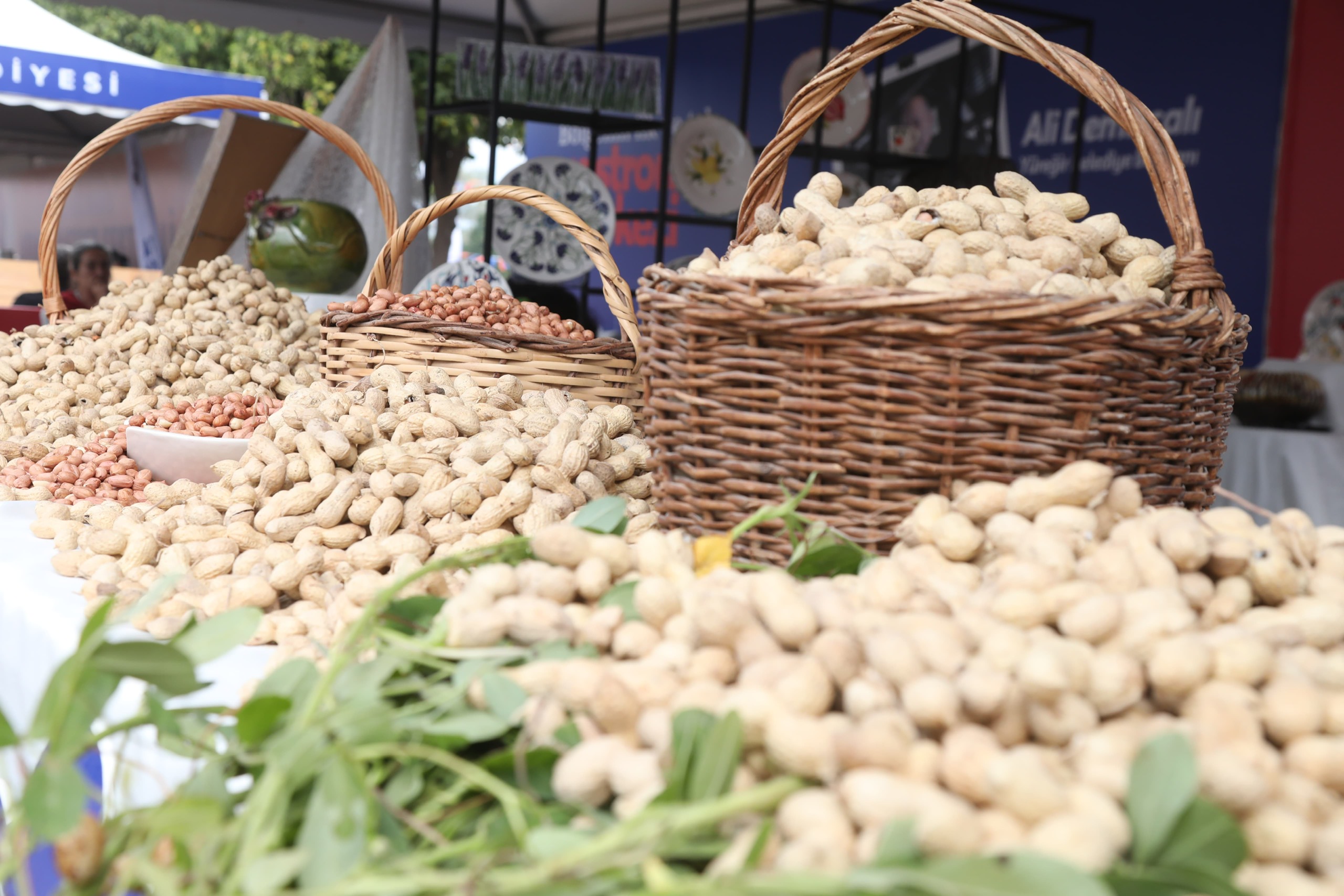 Yüreği̇r’i̇n fıstığı, festi̇vale tat kattı
