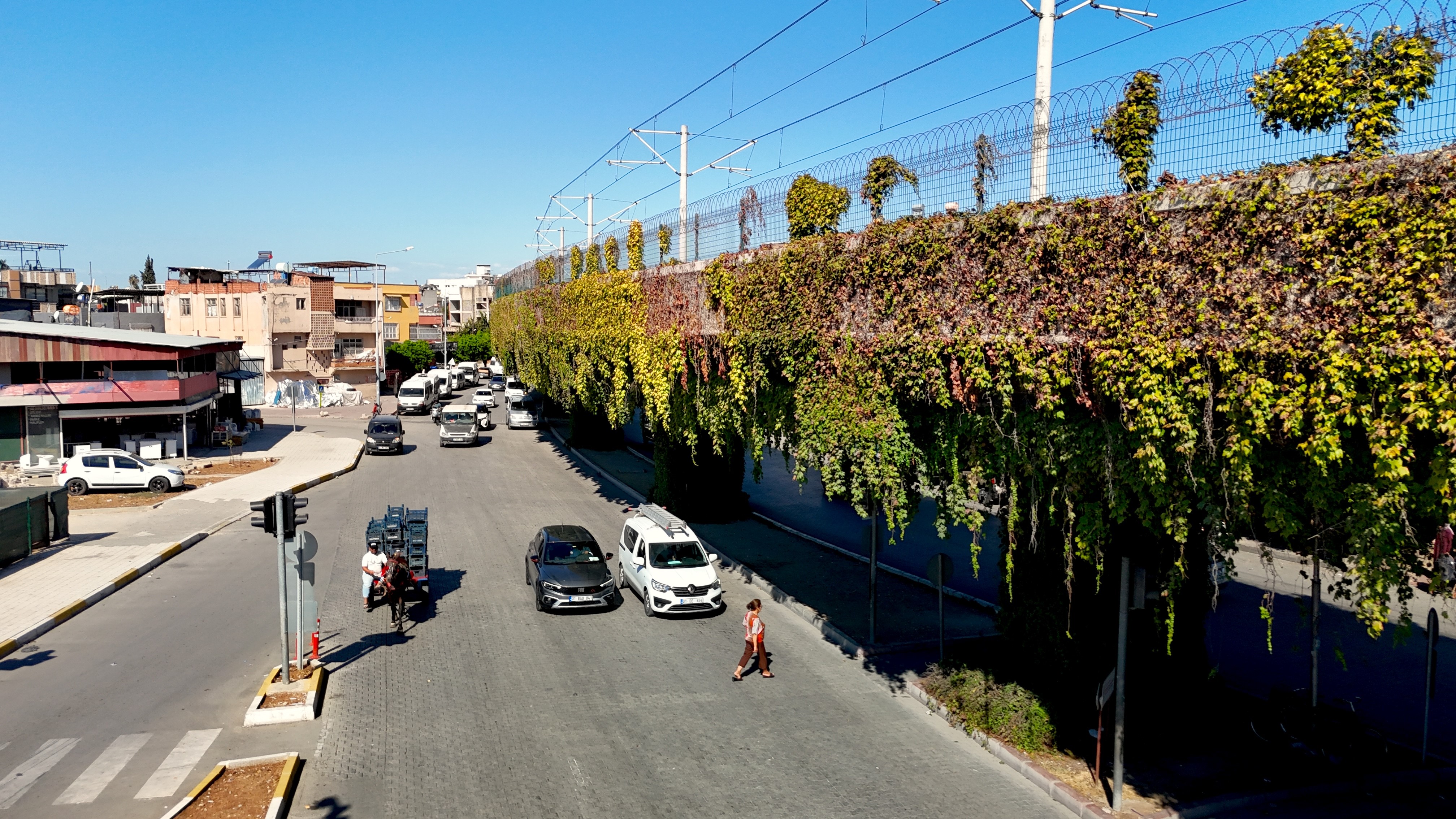 Sarmaşıklarla kaplı metro yolu, görsel şölen oluşturuyor