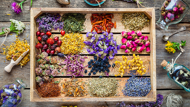 İşte kışın mutlaka tüketilmesi önerilen en faydalı bitki çayları… 