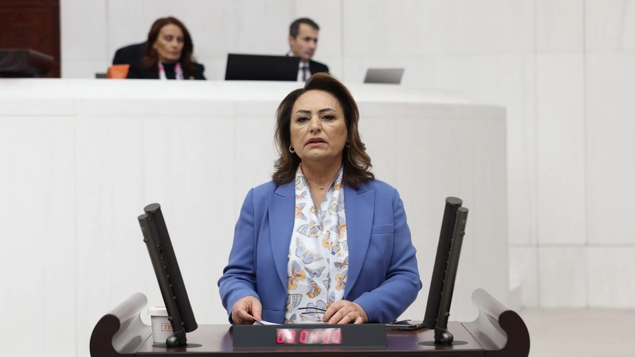 CHP Adana Milletvekili Şevkin, "Aladağ, dört mevsim turizm merkezi olabilir"