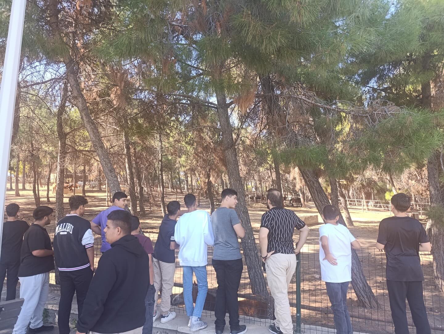 Adanalı çocuklara, Gaziantep gezdirildi