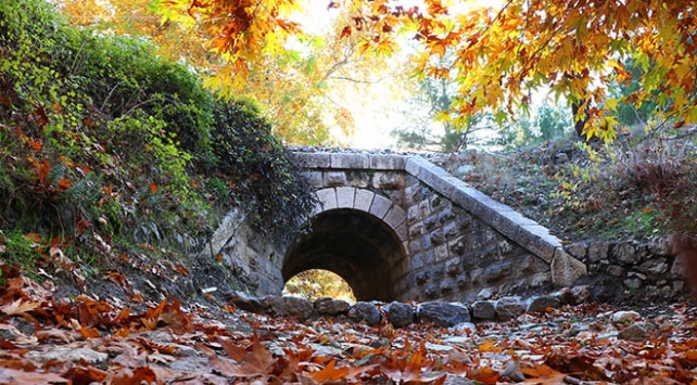 Adana’da sonbahar mevsimi, kartpostallık görüntüler oluşturdu