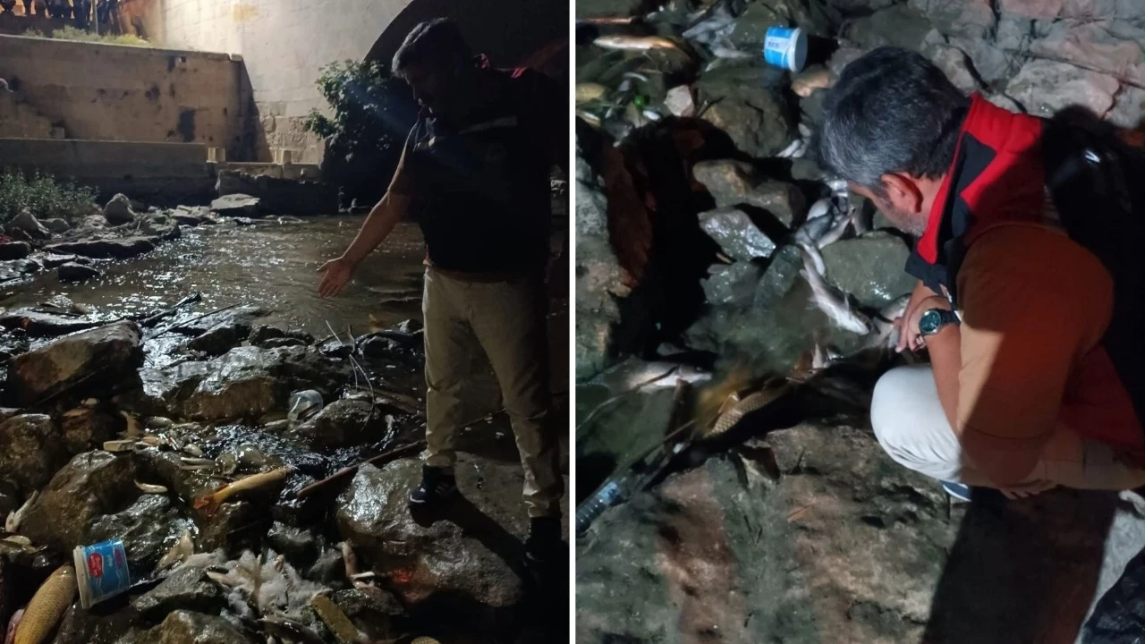 Ceyhan Nehri'ndeki kirlilikle ilgili numune alındı