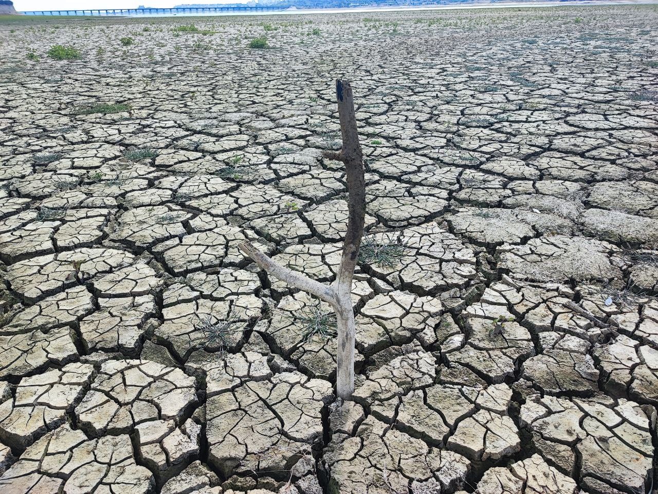Kuraklığın izi: Seyhan Baraj Gölü'nde sular çekilince toprak çatladı