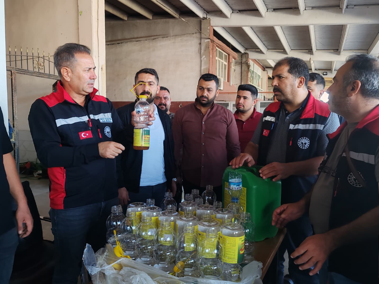 Akdeniz meyve sineği ile mücadele sürüyor