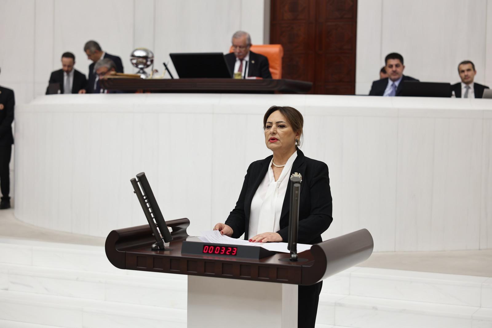 CHP Adana Milletvekili Şevkin, "Suç örgütü lideri serbest, Adana gibi başkan tutsak!"