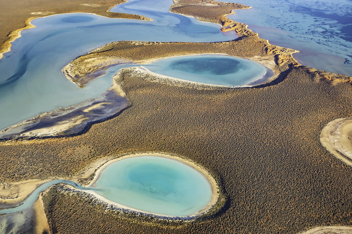 Yumurtalık Lagünleri: Akdeniz’in en özel doğa alanlarından biri