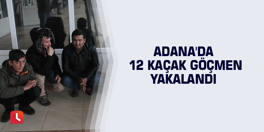 Adana'da 12 kaçak göçmen yakalandı