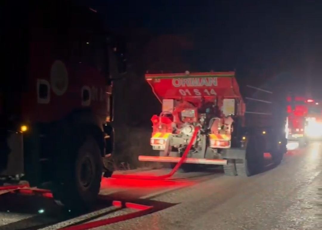 Adana'da orman yangını büyümeden söndürüldü