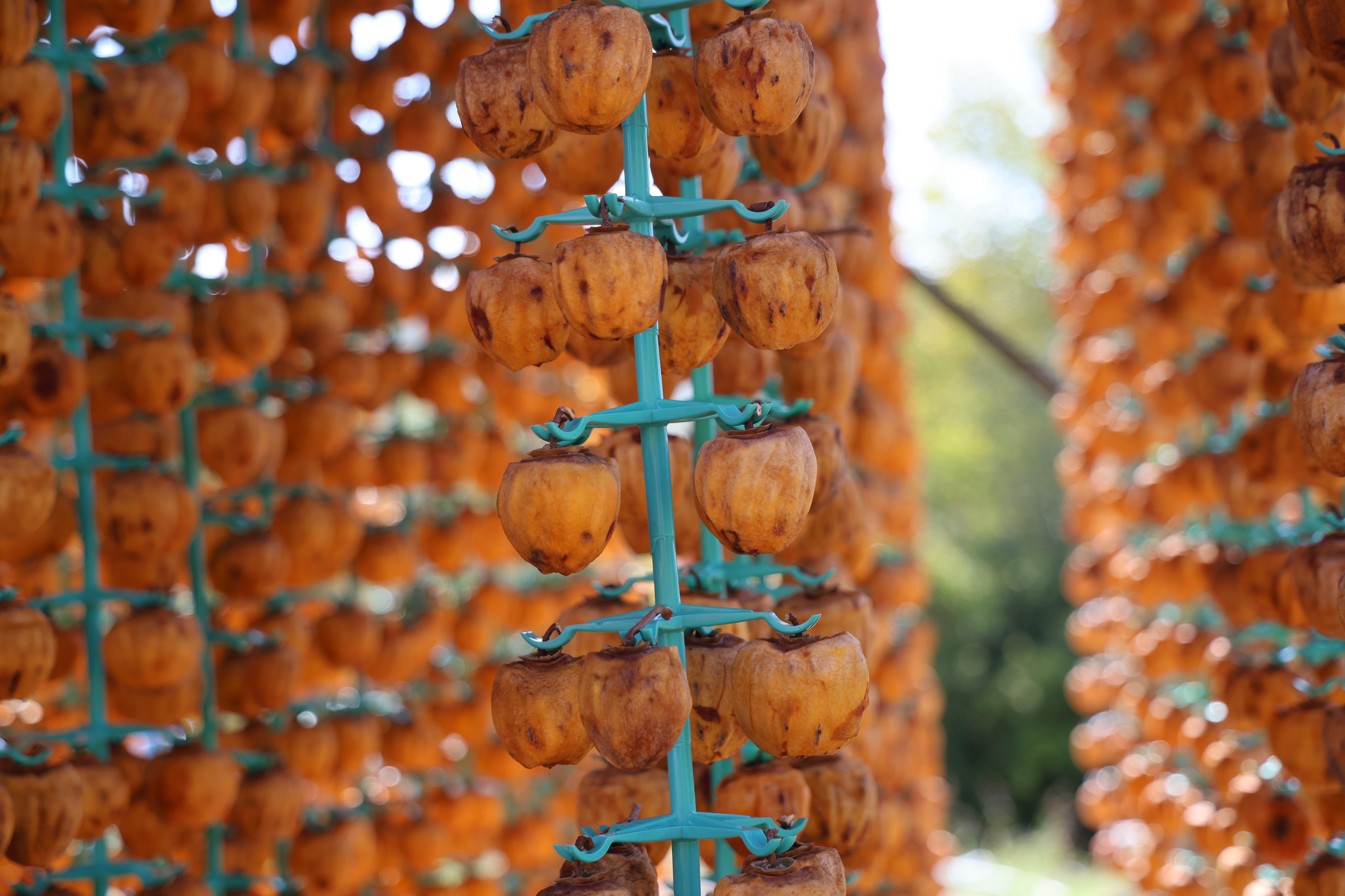 Adana'nın hurmalı köyü, açık fabrikaya dönüştü