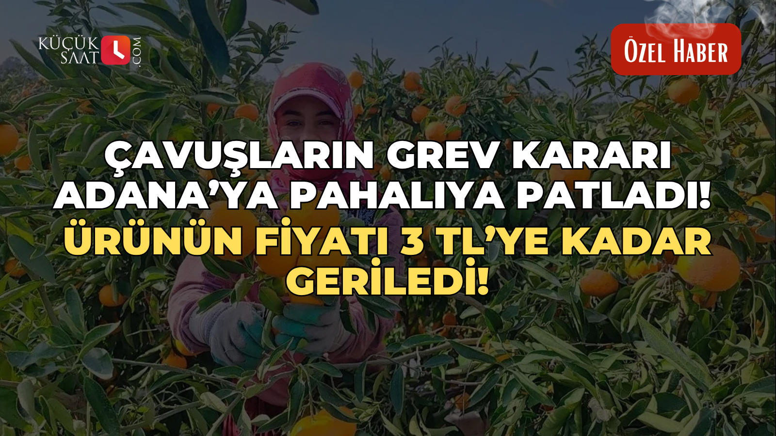 Çavuşların grev kararı Adana’ya pahalıya patladı! Ürünün fiyatı 3 TL’ye kadar geriledi!
