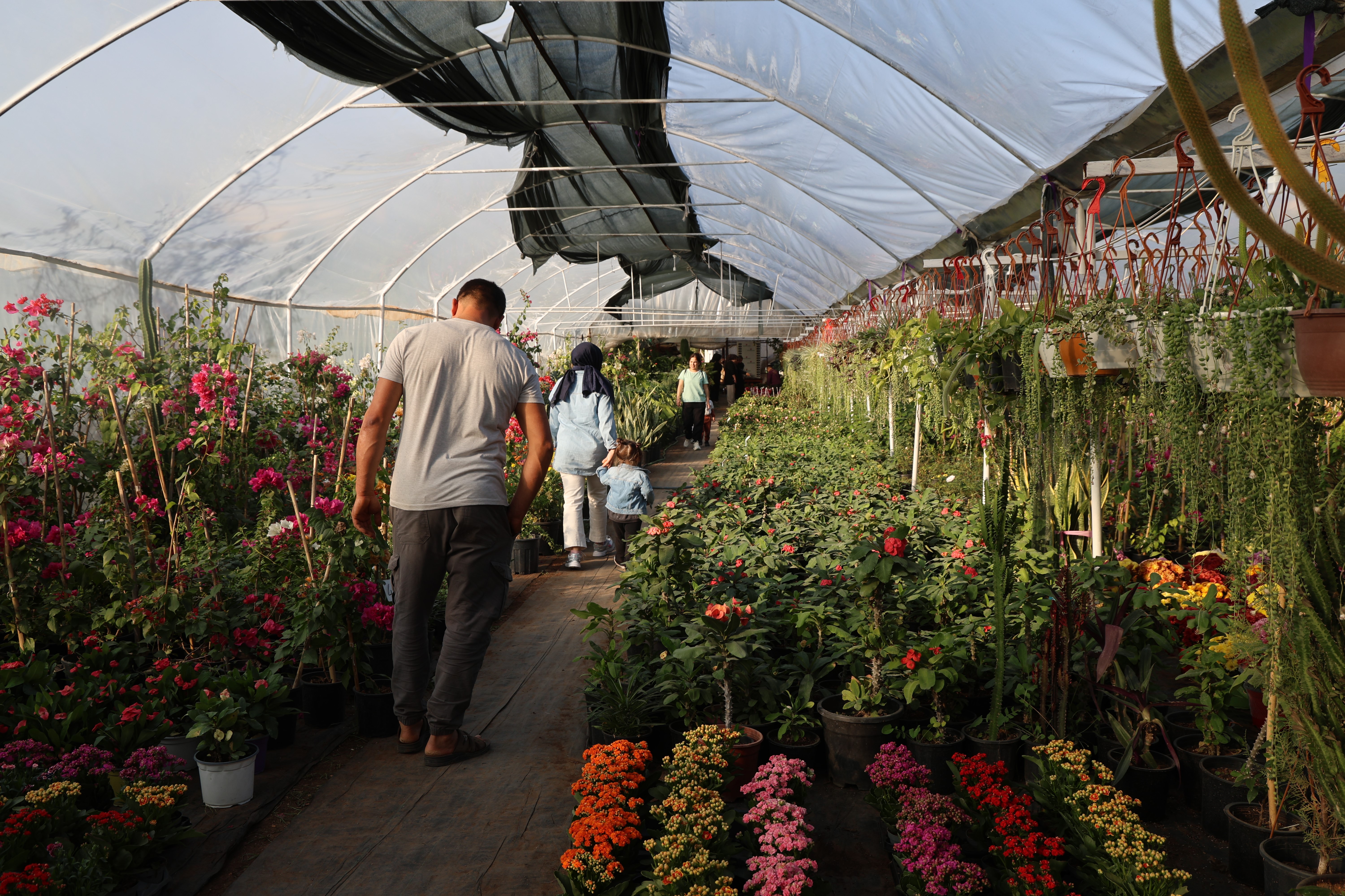 Çiçekçilerde Öğretmenler Günü yoğunluğu: Buket yerine saksı çiçekleri tercih ediliyor