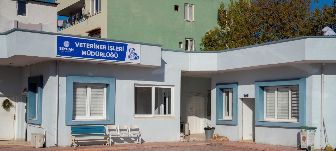 Seyhan Belediyesi'nden sokak hayvanlarının usulsüz toplandığı iddialarına yanıt: “Veteriner gözetiminde, uyuşturucu madde yok”