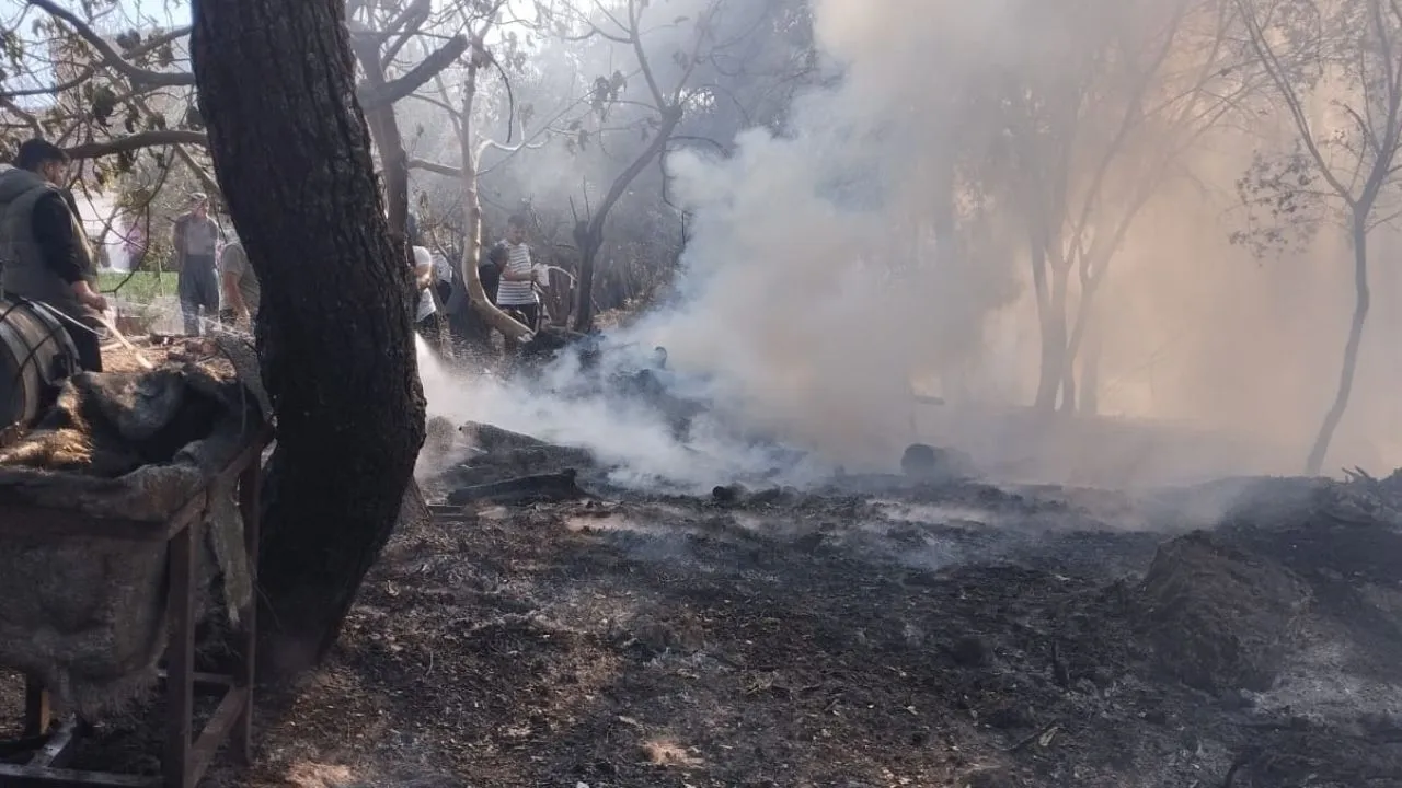 Sarıçam’da orman yangını ekipler tarafından kısa sürede söndürüldü