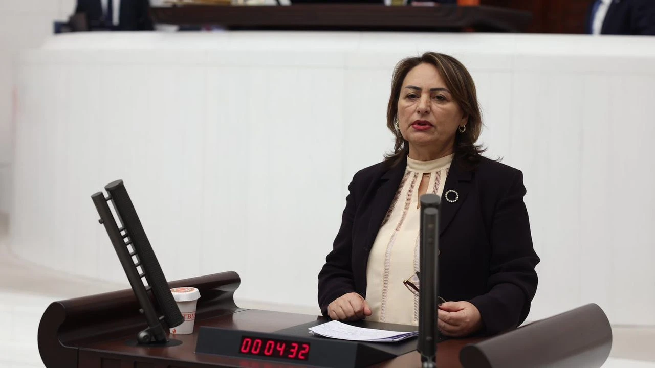 CHP'li Dr. Şevkin'den silahsızlanma çağrısı!