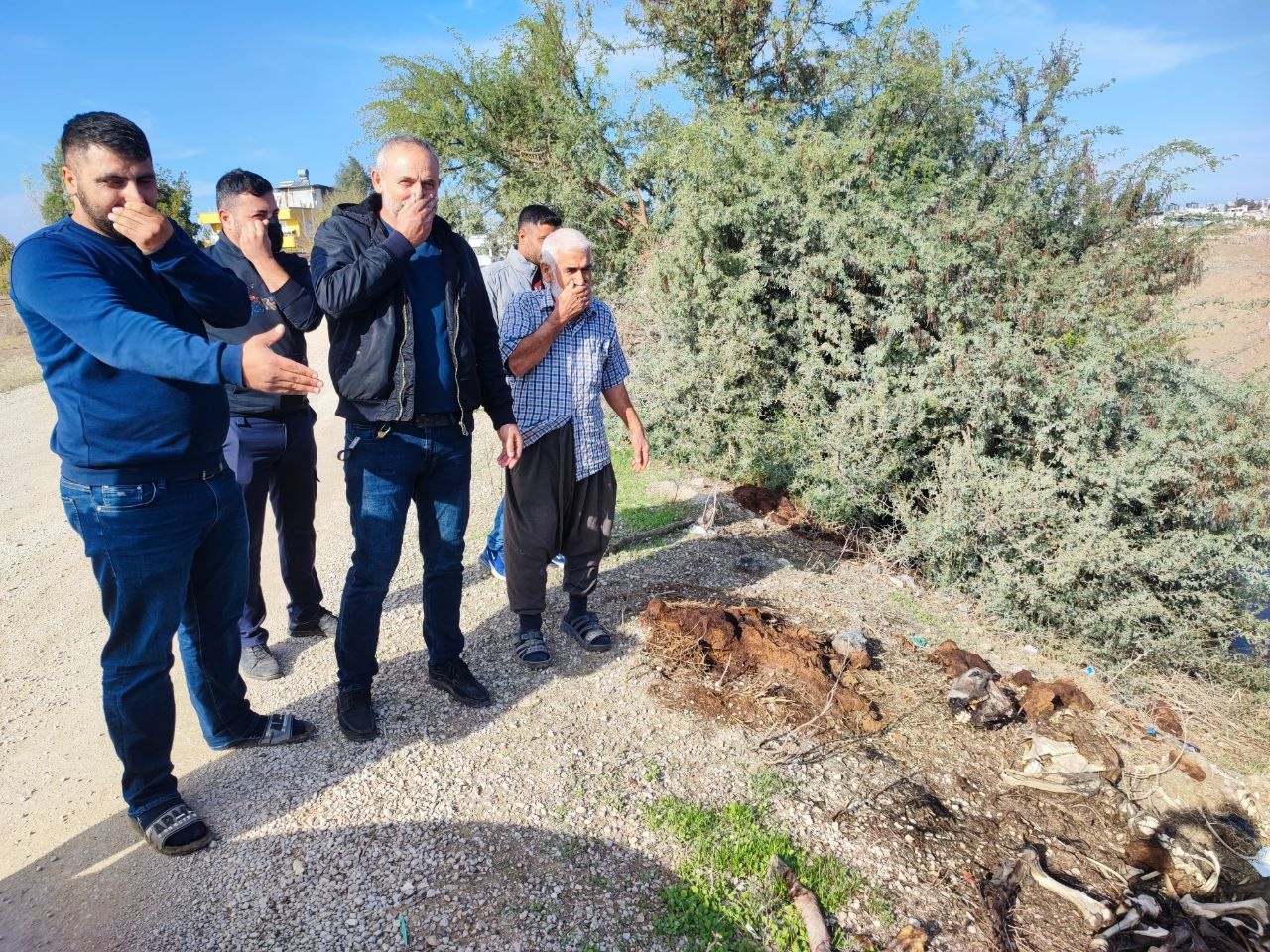 Adana'da dere yatağına yine at ve eşek kalıntıları atıldı: Mahalle sakinleri tepki gösterdi