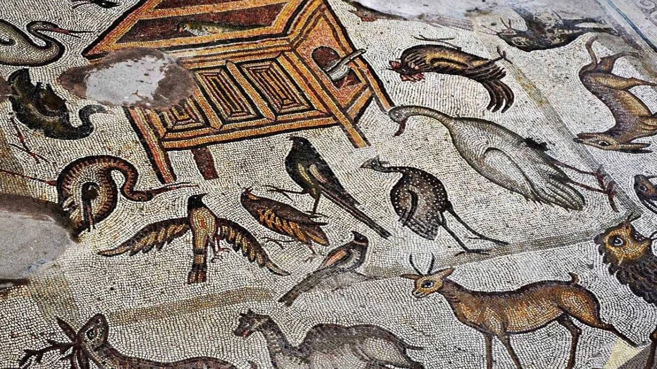 Misis Antik Kenti’nde dünya çapında nadir keşif: “Nuh’un Gemisi” mozaiği büyük ilgi görüyor