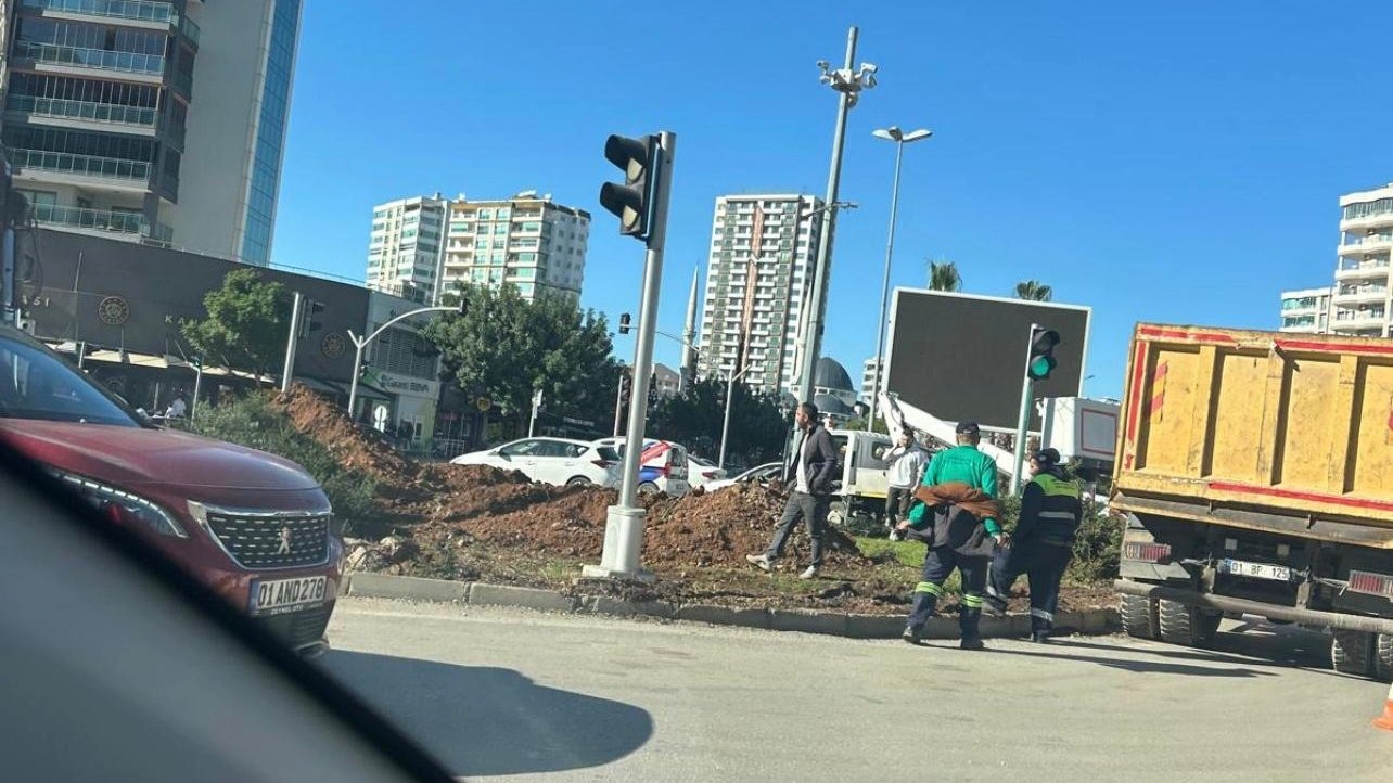 Türkmenbaşı Bulvarı’nda bulunan turunç ağaçları neden kesiliyor?