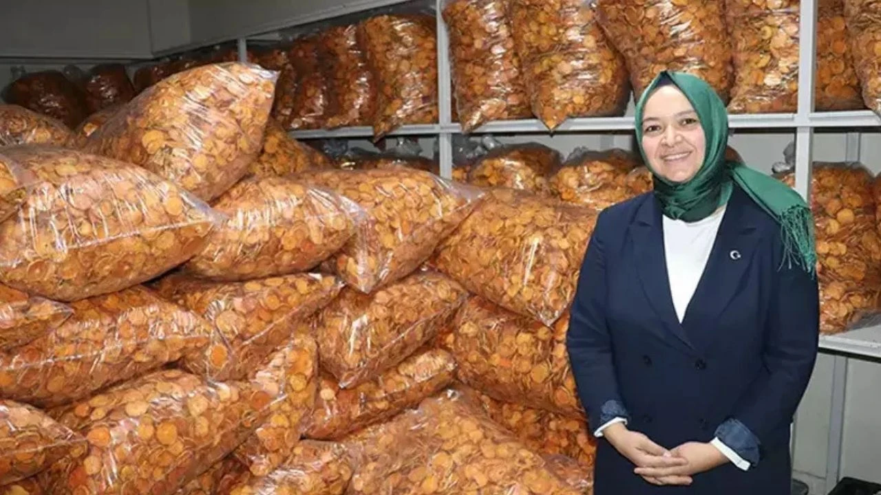 Adanalı kadın girişimci meyve cipsinde Türkiye’nin gururu oldu