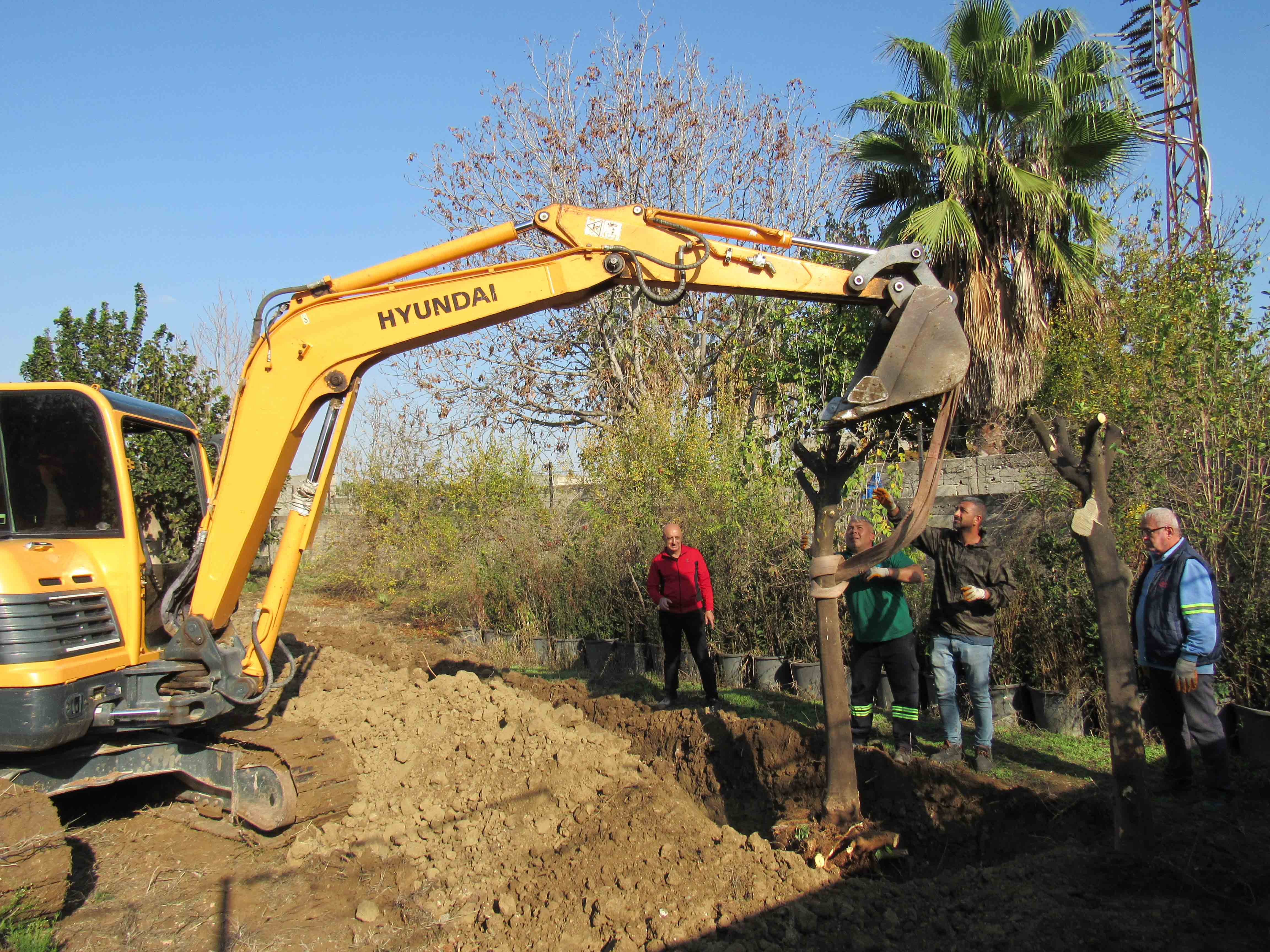Adana Büyükşehir’den açıklama: Ağaç kesimi yok, nakil yapılıyor