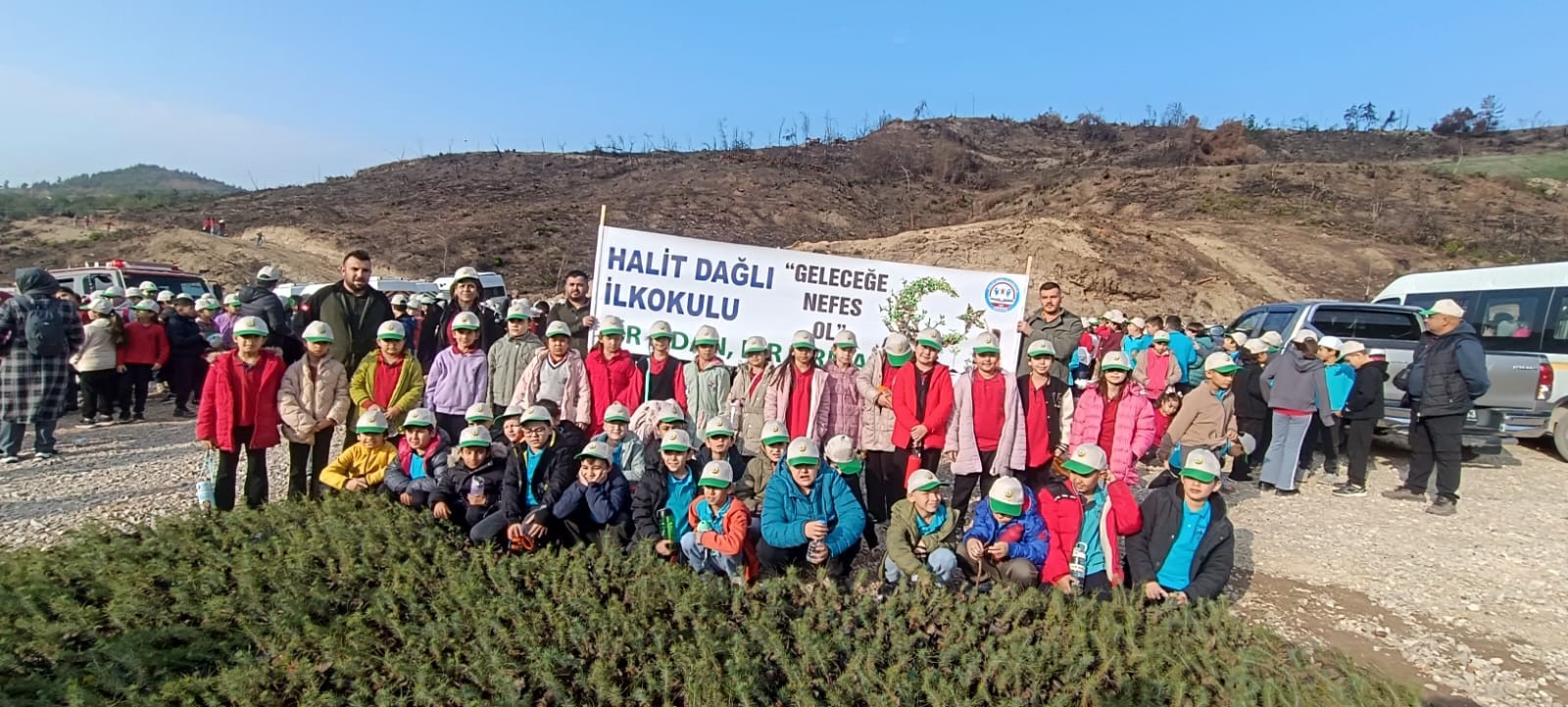 Öğrenciler, orman yangınında zarar gören alana fidan dikti