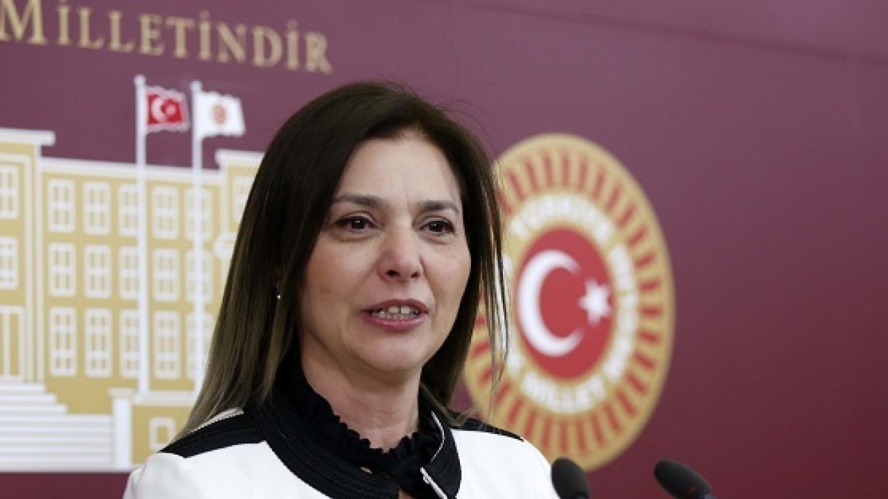 Sibel Ersoy: Sağlık politikası bir egemenlik alanıdır