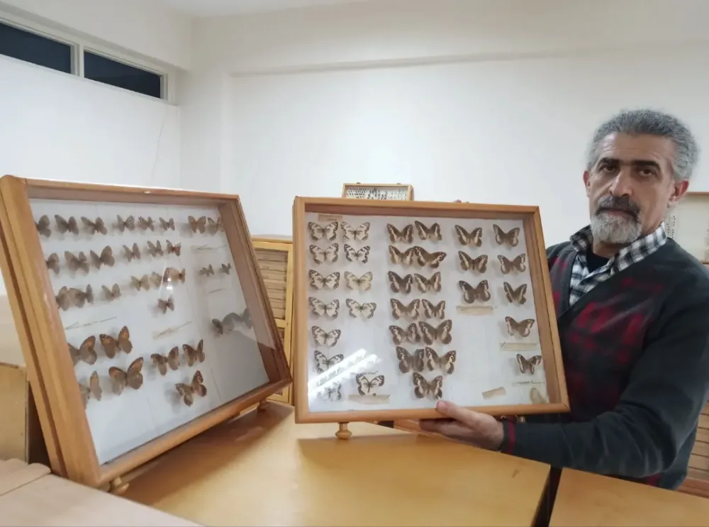 Adana’da böcekler bilimsel hafızaya dönüşüyor: Çukurova Üniversitesi’nde özel müze