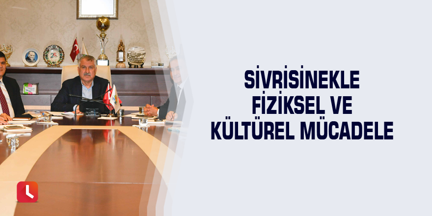 Sivrisinekle fiziksel ve kültürel mücadele