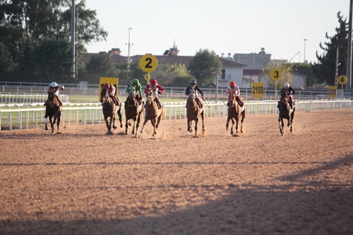 Kozan adına koşulan yarışta kazanan Nightflyers