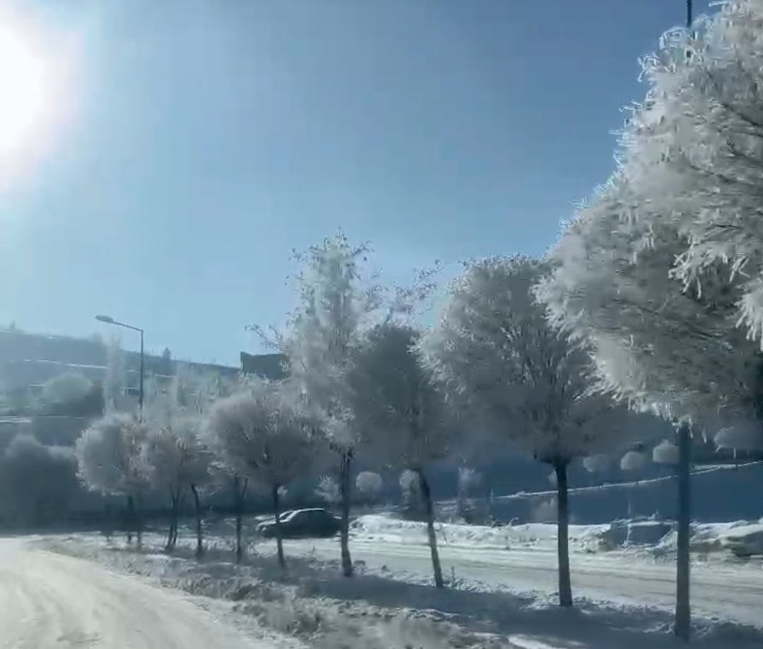 Tufanbeyli’de eksi 20 derece: Kırağı kartpostallık manzaralar oluşturdu