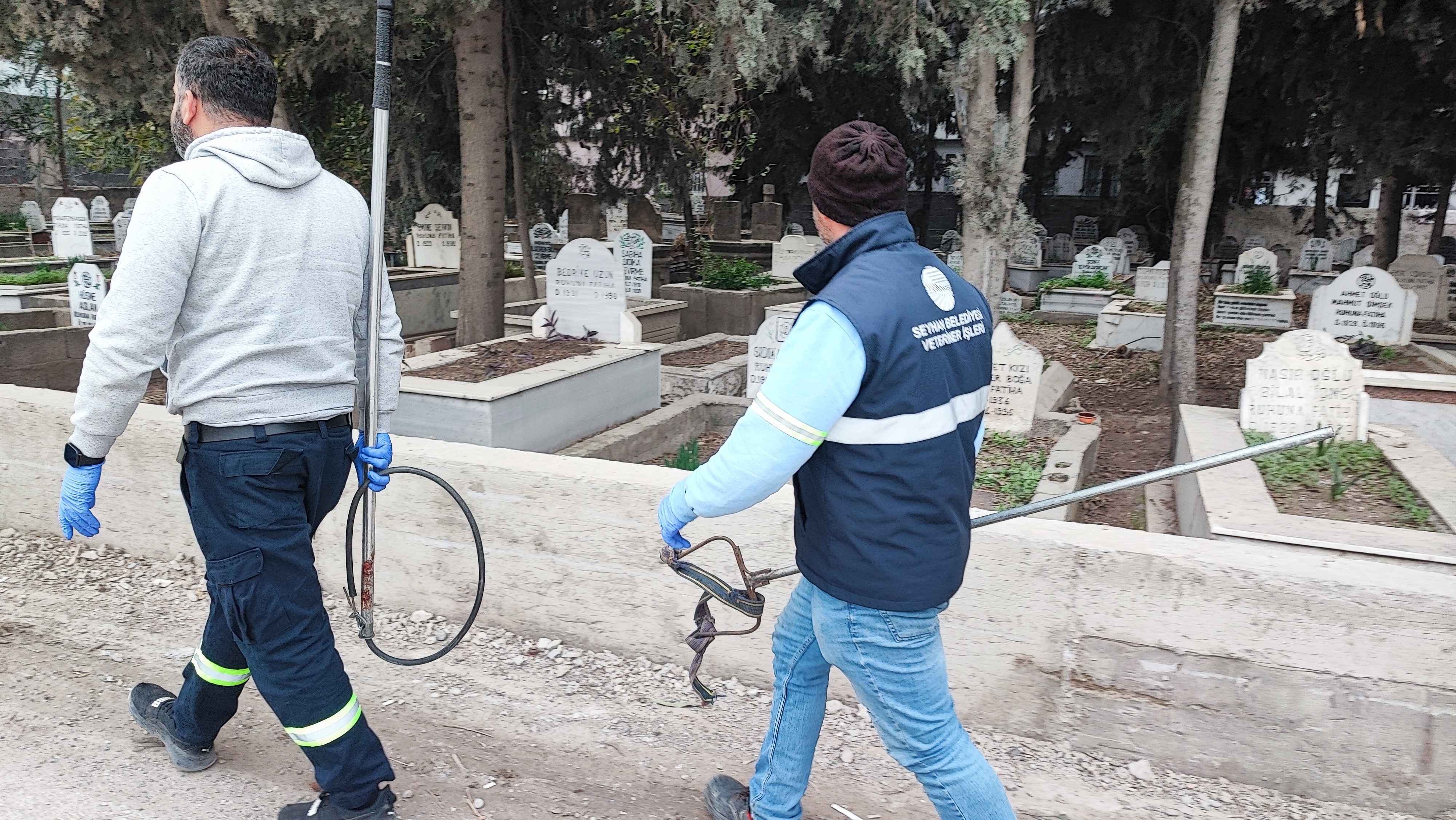 Adana'da sokak köpeği endişesi