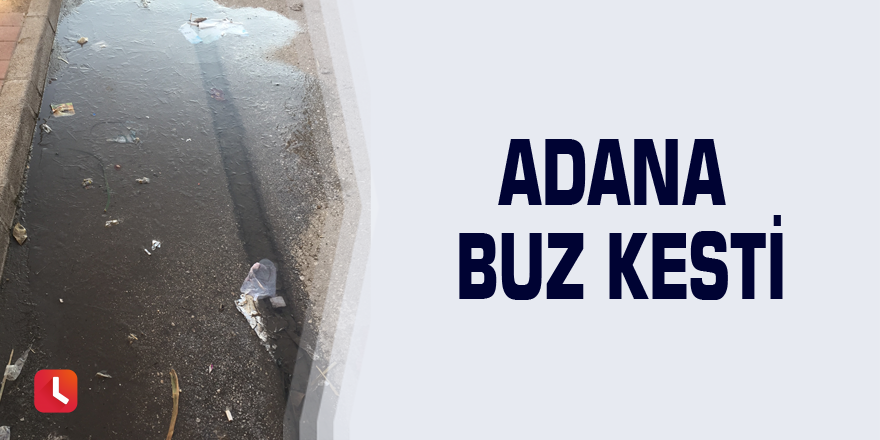 Adana buz kesti