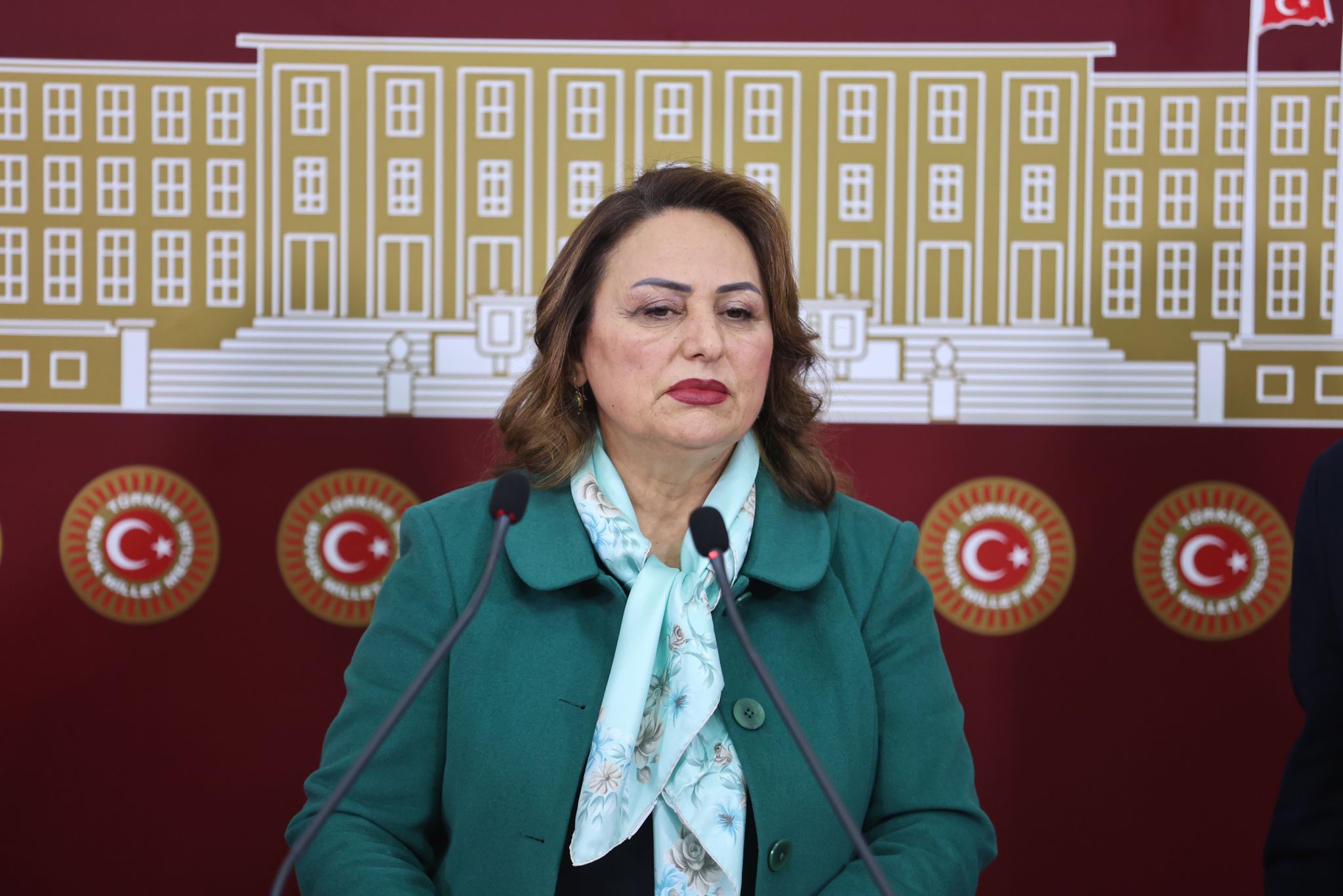 Müzeyyen Şevkin: "Tapu Kanunu teklifi jeoloji ve jeofizik mühendisliğini tehdit ediyor"