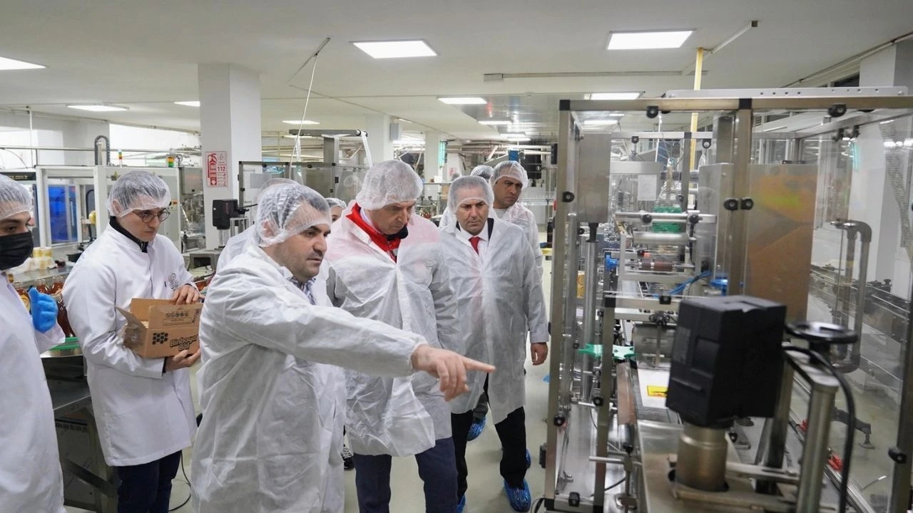 Adana’da bal kooperatifine üretim ve saha incelemesi